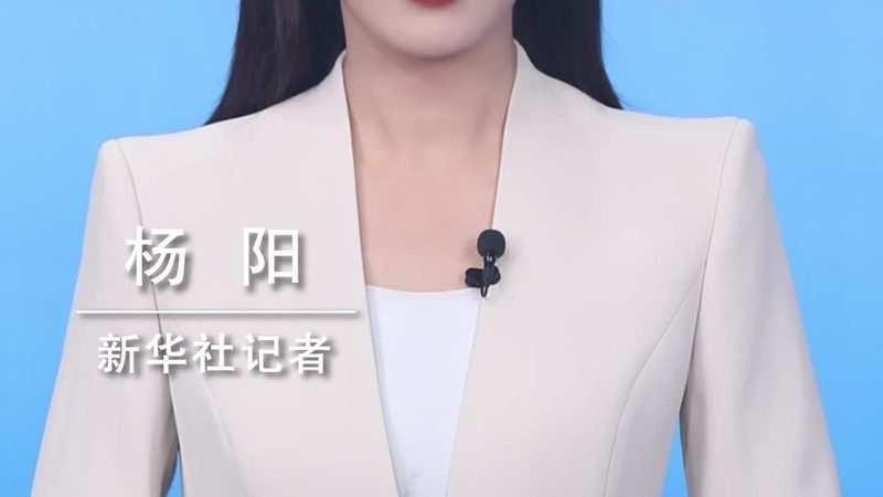 数据湖架构设计：核心组件解析与优化策略